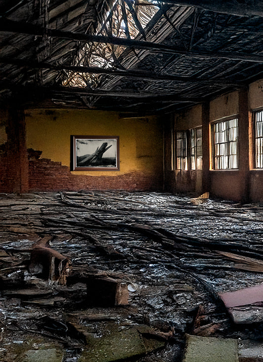 OSTRA / Echoes of Utopia